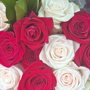 Meet your Posher, lea